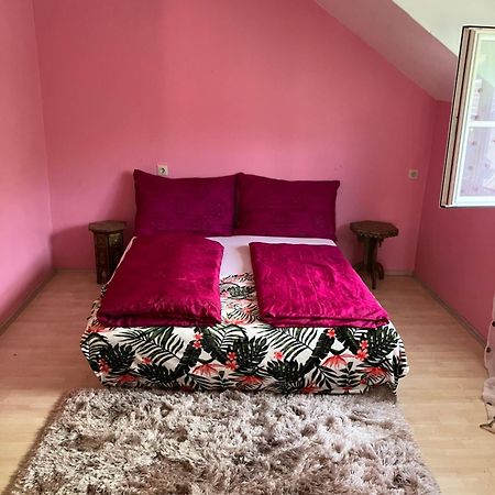 Appartement Untersberg Und Festungsblick à Puch bei Hallein Extérieur photo